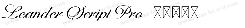 Leander Script Pro字体转换